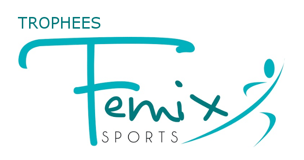 Trophées FEMIX’SPORTS 2016 Nouvelle-Aquitaine – inscription avant le 10 octobre !