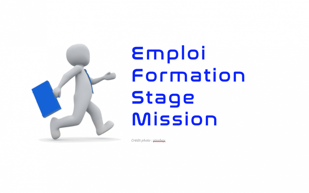 Offre d’alternance : un.e assistant.e développement de projet au CROS Nouvelle-Aquitaine