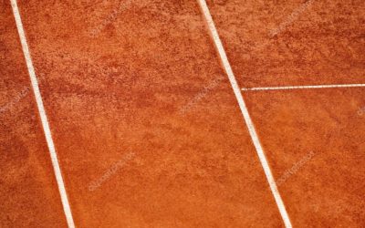 Le financement des politiques sportives en France : bilan et perspectives